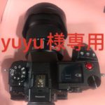 Panasonic Lumix DC-S1H Lumix S 24-105 F4::m16473997887