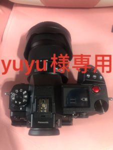 Panasonic Lumix DC-S1H Lumix S 24-105 F4::m16473997887