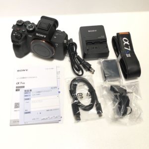 最終価格 SONY α7SⅢ メーカー保証 2021.10迄有効::m34386080512