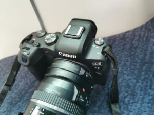 Canon EOS R6::m92204276829