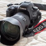 EOS5D Mark IV＆FE24-70mm F2.8 L II USM::m96222661761