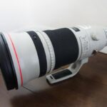 【美品】Canon EF500mm F4L IS Ⅱ USM::m34697369521