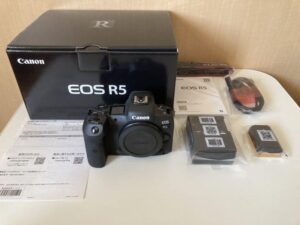 Canon EOS R5::m45315028171