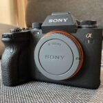 【値下げ終了まで20分❗️】SONY / α1 / ILCE-1 /ミラーレス一眼::m64528474569